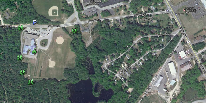 Satellite image of Libby Hill Forest Trails