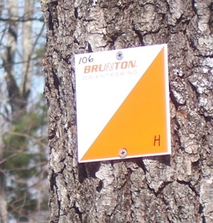 photo of orienteering flag