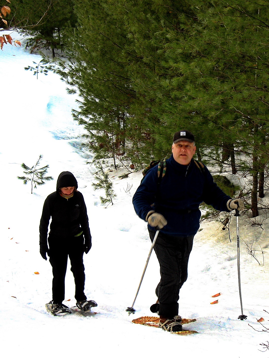 About Libby Hill Forest Trails – Libby Hill Forest