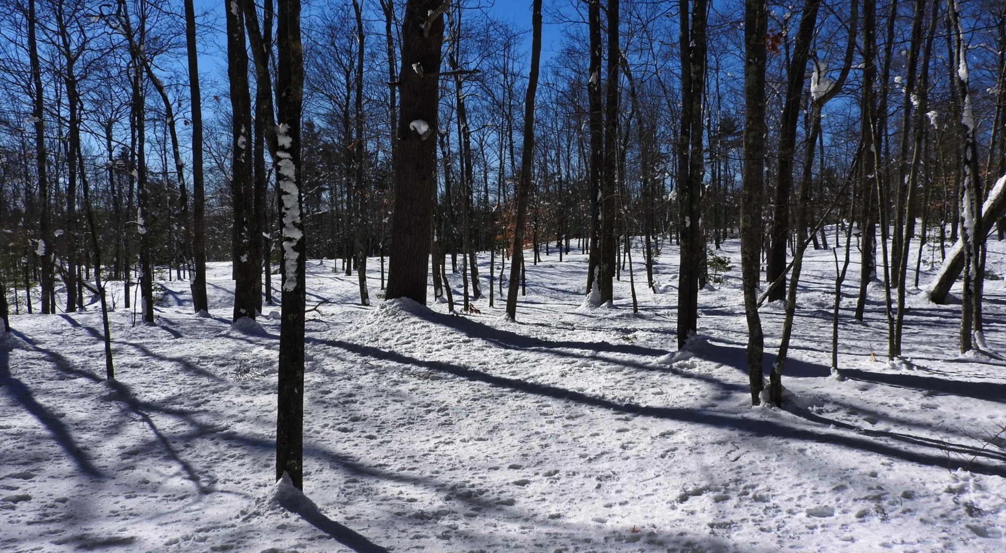 photo of winter snow