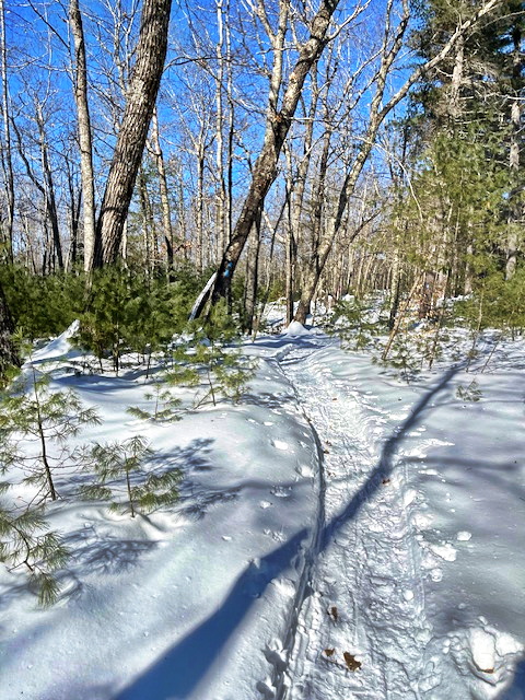 Best Snow Conditions in 10 Years